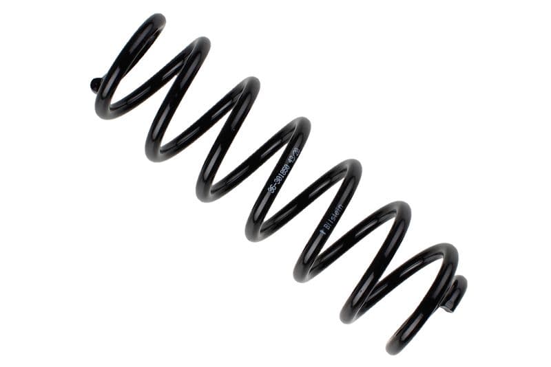 Coil spring