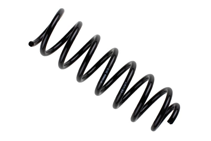 Coil spring