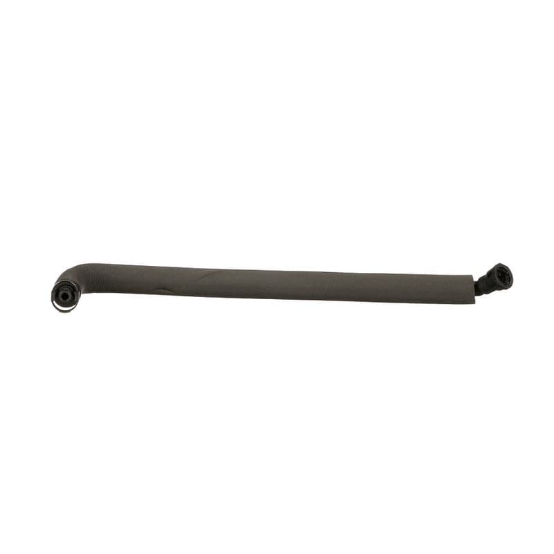 Hose, cylinder head cover ventilation