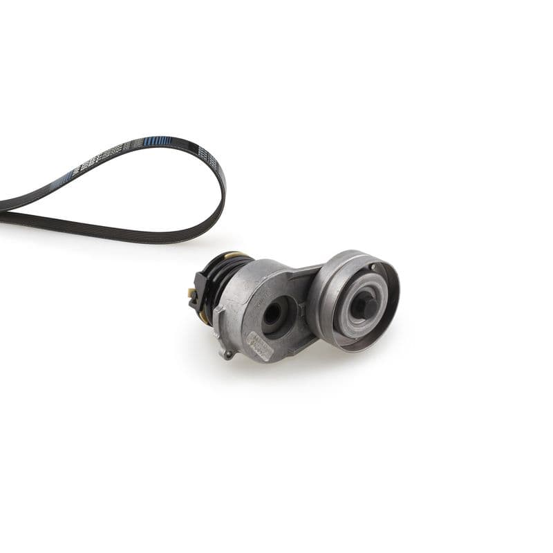 Multi-V-riem (6PK1250)