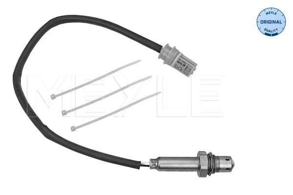 Oxygen Sensor