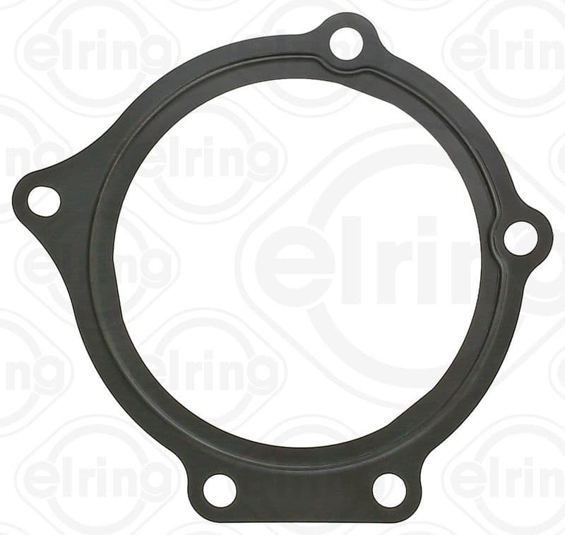 Water pump gasket