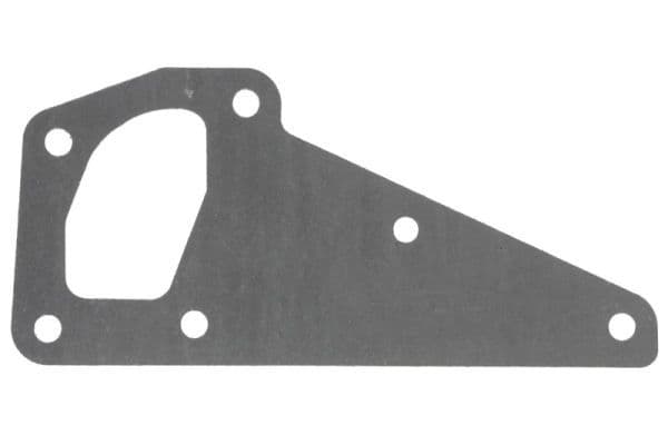 Water pump gasket