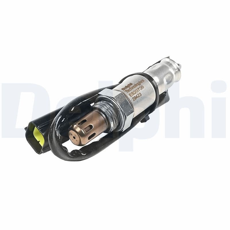 Oxygen Sensor