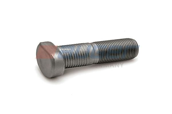 Wheel bolt