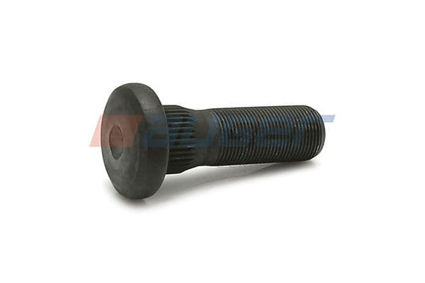 Wheel bolt