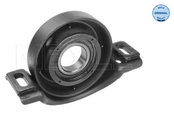 Schroefassteun (30mm, met een lager) past: MERCEDES C T-MODEL (S203), C (W203), CLK (C209), SL (R230) 2.7D/5.5/6.0 12.00-01.12