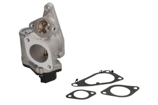 EGR-klep past: RENAULT GRAND SCENIC II, LAGUNA II, MEGANE II, SCENIC II  SUZUKI GRAND VITARA II 1.9D 11.02-