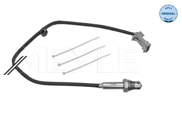 Oxygen Sensor