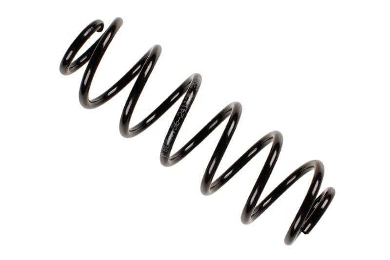 Coil spring