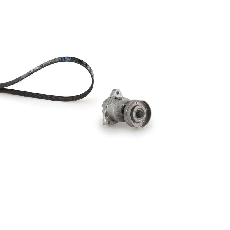 Multi-V-riem (6PK1893)