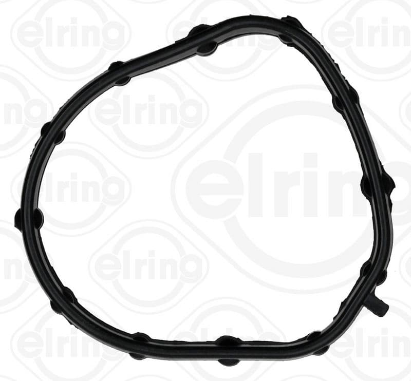 Gasket, coolant flange