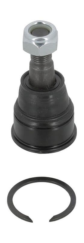 Kogelgewricht van de as Links/Rechts (bodem voor) (diameter kegel 15,5mm) past: HONDA CR-V II 2.0/2.2D/2.4 09.01-03.07
