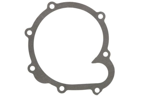 Water pump gasket
