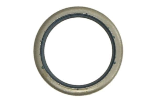Oil pump gasket