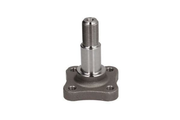 Achterwiel naaf plug Links/Rechts Achter past: DACIA LOGAN, SANDERO  NISSAN MICRA C+C III, MICRA III, NOTE  RENAULT CLIO II, CLIO III, CLIO IV, MODUS, SANDERO/STEPWAY I, THALIA II 0.9-1.6LPG 09.98-