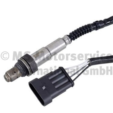 Oxygen Sensor