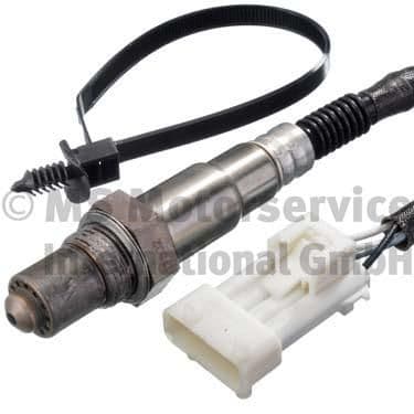 Oxygen Sensor