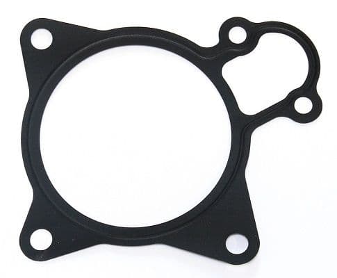 Water pump gasket