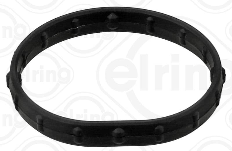 Gasket, coolant flange