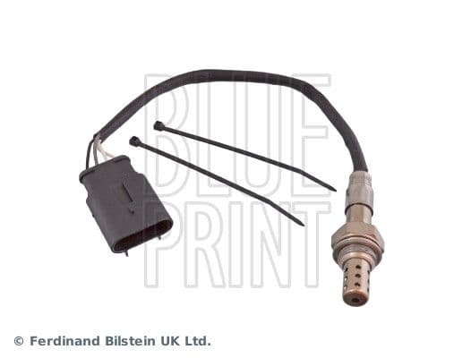 Oxygen Sensor