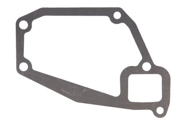 Water pump gasket
