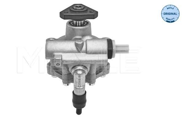 Hydraulische pomp, stuurbekrachtiging (nieuw) past: DACIA LOGAN II, LOGAN MCV II, SANDERO II 1.2-1.6 10.12-