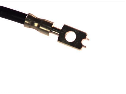 Remleiding/slang flexibel Voor Links/Rechts (lengte 562mm, M10x1/M10x1,5) past: AUDI A3  SEAT ALTEA, ALTEA XL, LEON, TOLEDO III  SKODA OCTAVIA II, SUPERB II, YETI  VW CADDY III 1.2-3.6 02.03-12.17