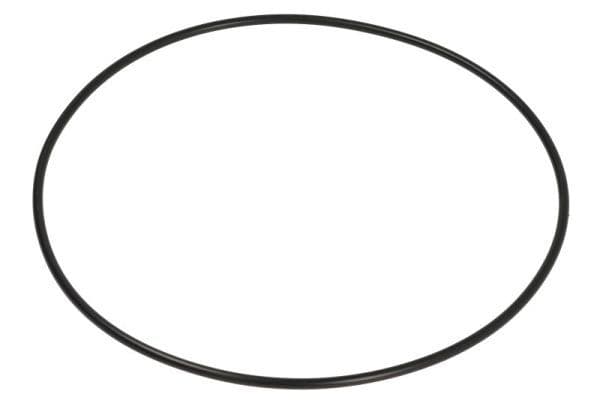 Shaft Seal, wheel hub