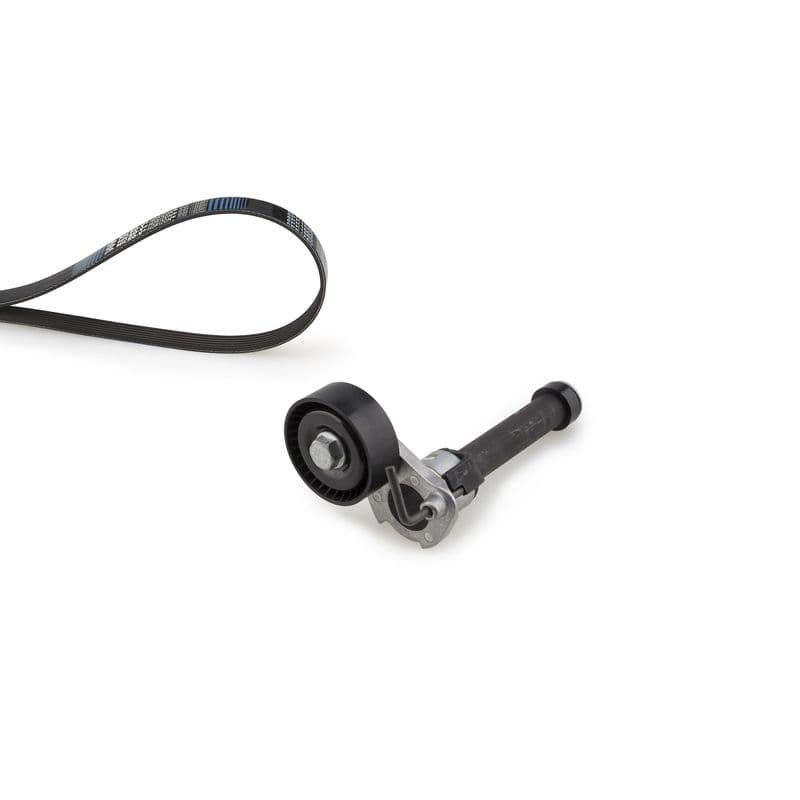 Multi-V-riemset met spanner past: AUDI A3, Q3, TT  SEAT ALHAMBRA, ALTEA, ALTEA XL, LEON, TOLEDO III  SKODA OCTAVIA II, SUPERB II, YETI  VW BEETLE, CC B7, EOS, GOLF V, GOLF VI 1.8/2.0 09.04-10.18