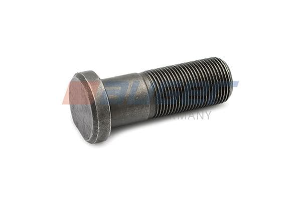 Wheel bolt