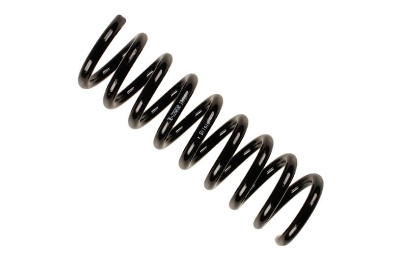 Coil spring