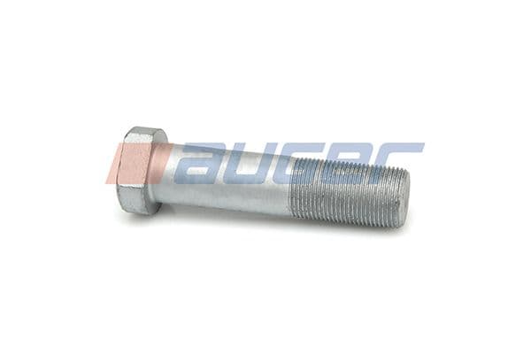 Wheel bolt