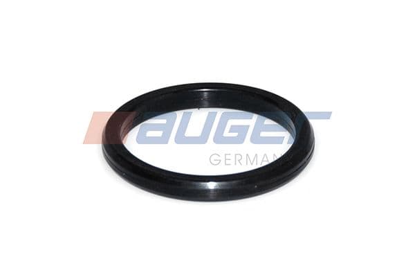 Water pump gasket