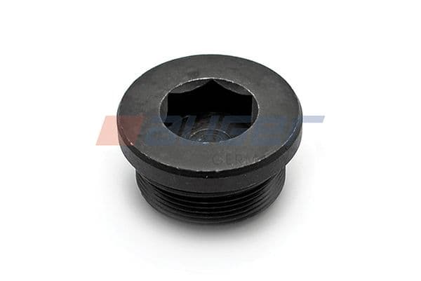 Screw Plug, axle drive