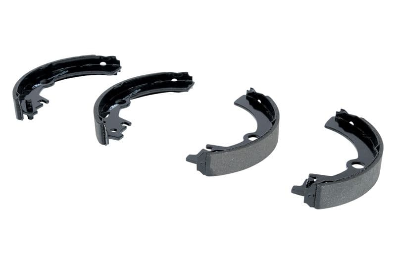 Brake shoe set