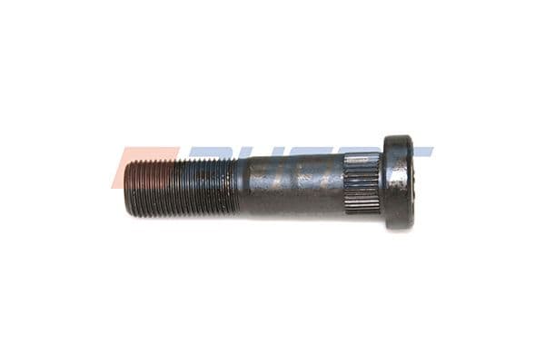 Wheel bolt