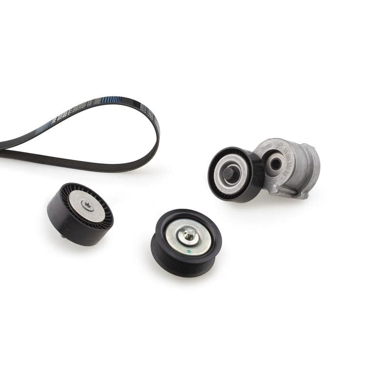 Multi-V-riem (6PK1413)