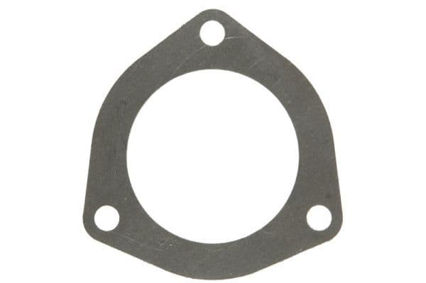Water pump gasket
