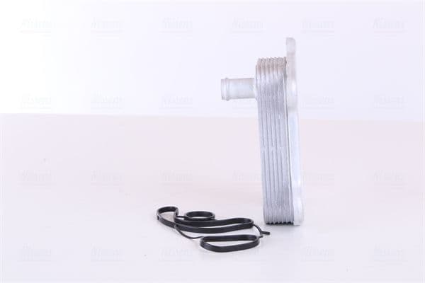 Olie radiator (handmatig) past: MERCEDES C (CL203), C T-MODEL (S203), C T-MODEL (S204), C (W203), C (W204), CLC (CL203), CLK (C209), E T-MODEL (S210), E T-MODEL (S211), E (VF211) 1.8-4.7 01.95-