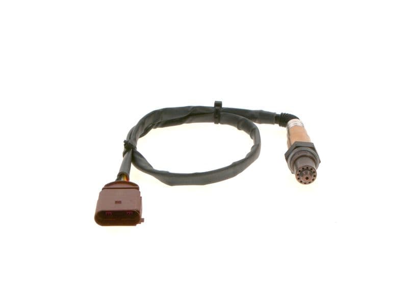 Oxygen Sensor