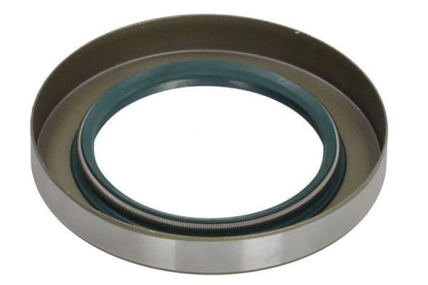 Repair Kit, differential