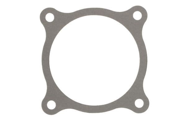 Shaft Seal, manual transmission flange