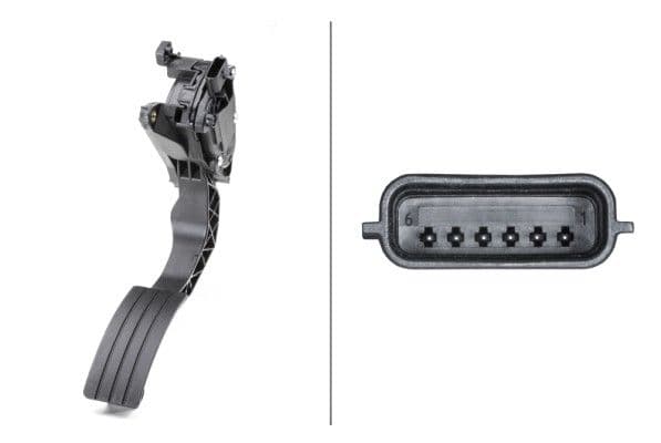 Gaspedaal past: DACIA DUSTER, LOGAN II, LOGAN MCV II, SANDERO II  RENAULT DUSTER, LOGAN I, LOGAN/STEPWAY II, SANDERO/STEPWAY II 0.9-2.0 04.10-