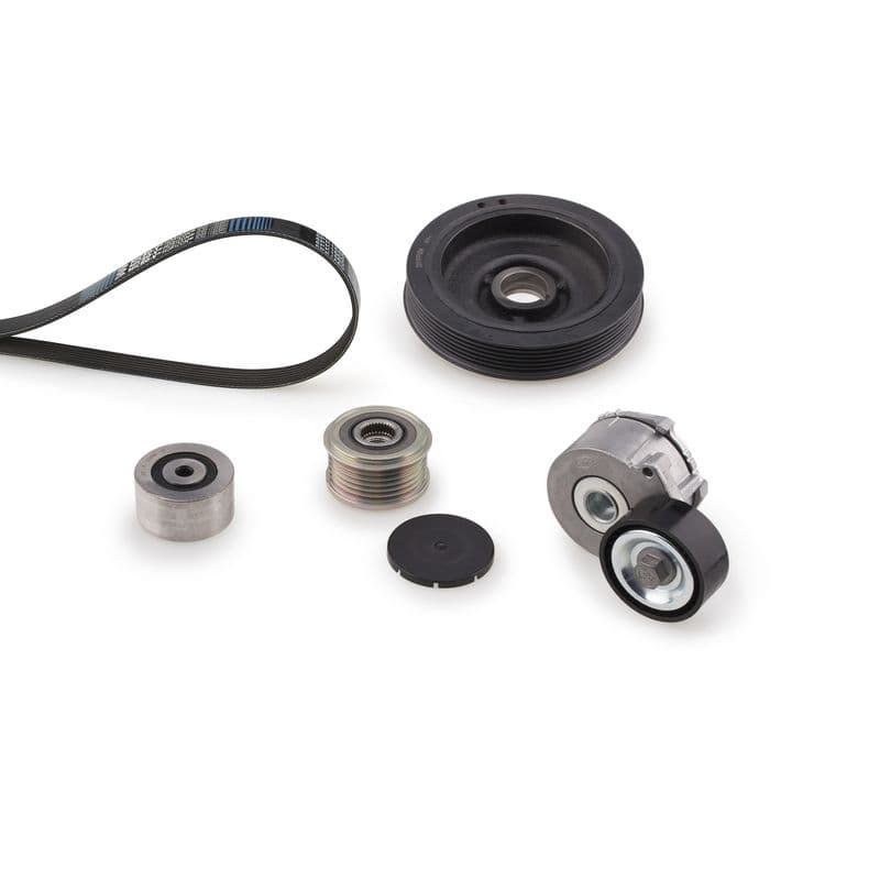 Multi-V-riem (6PK1153)