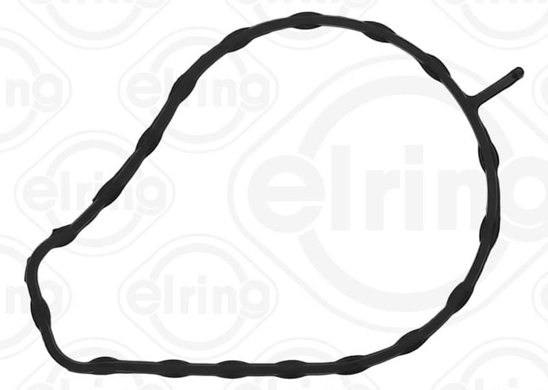 Water pump gasket