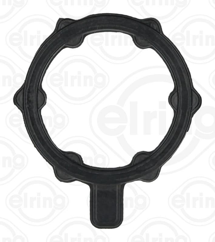 Seal Ring, coolant pipe