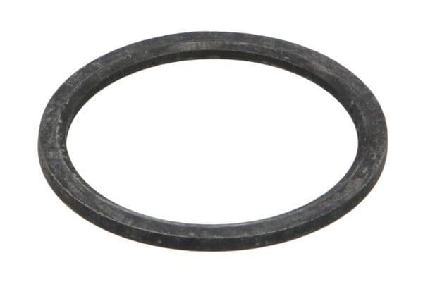 Repair Kit, differential