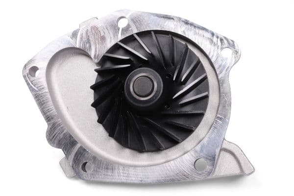 Waterpomp, met pakking past: RENAULT GRAND SCENIC III, LAGUNA II, MEGANE, MEGANE III, SCENIC III  SUZUKI GRAND VITARA II 1.9D 03.01-09.16