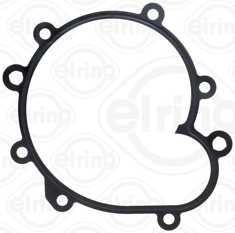 Water pump gasket